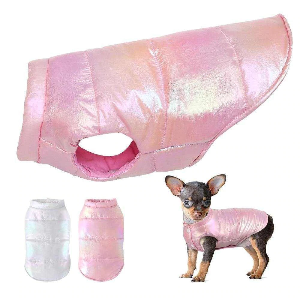Teacup Chihuahua Clothes