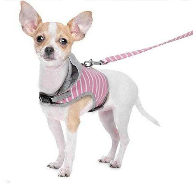 harness for chihuahuas