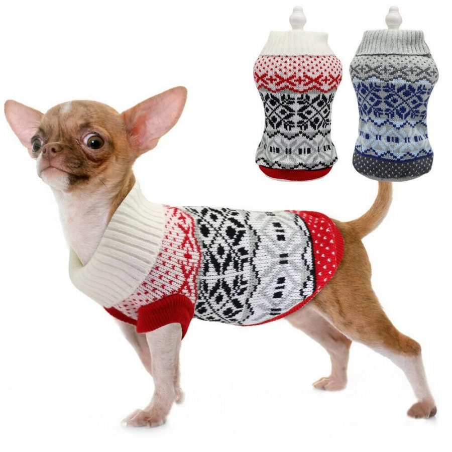 teacup chihuahua sweaters