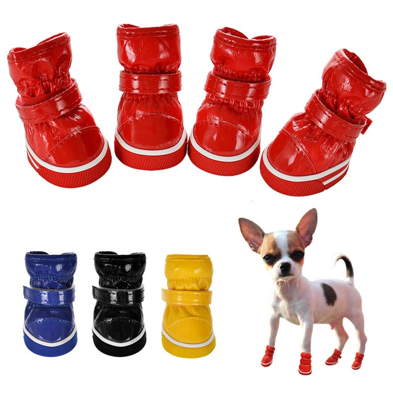 shiny boots for chihuahuas